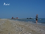 0083 Rimini strand